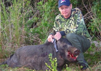 hogs in florida